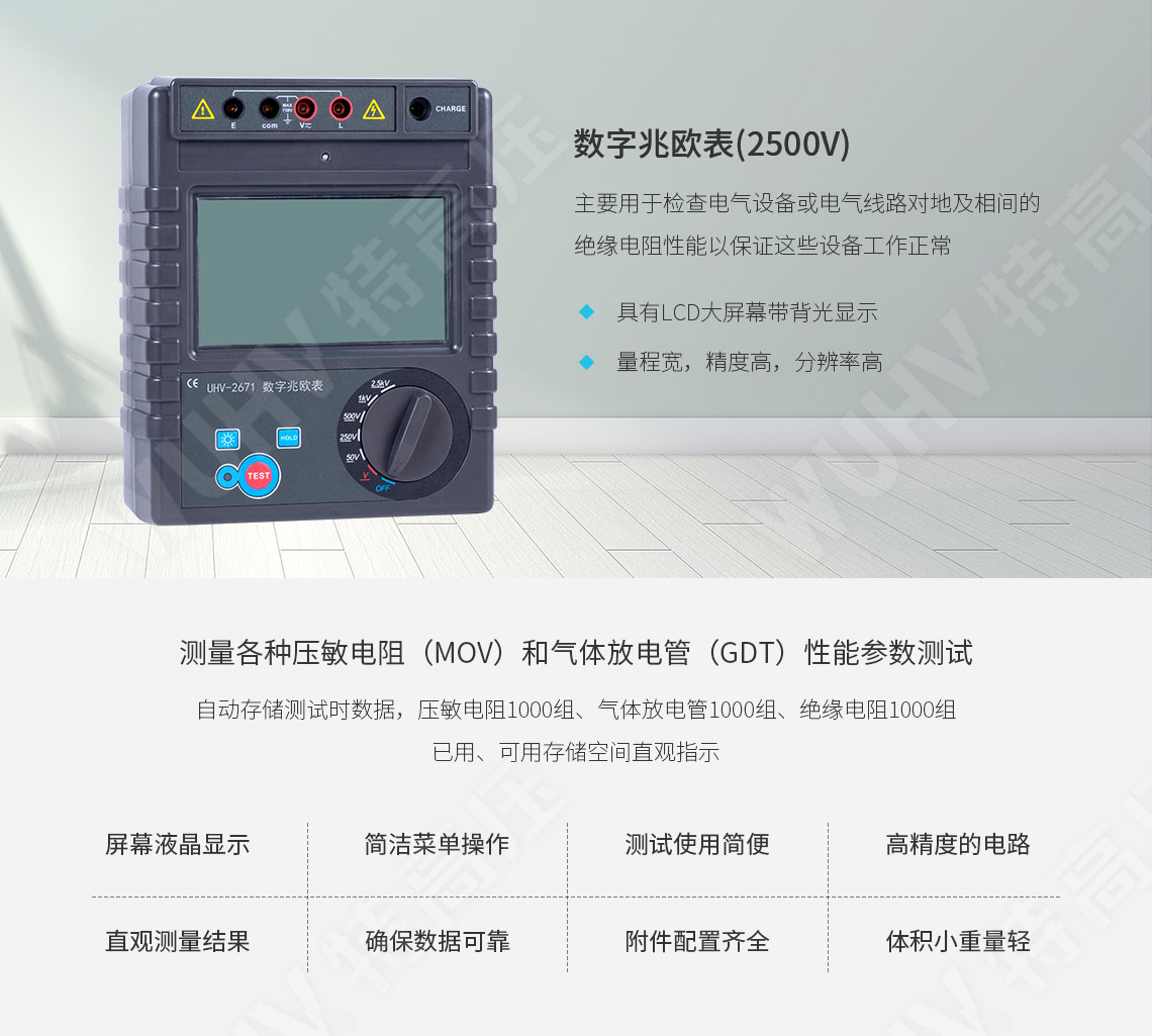 HT2671 數(shù)字兆歐表(2500V)(圖1)