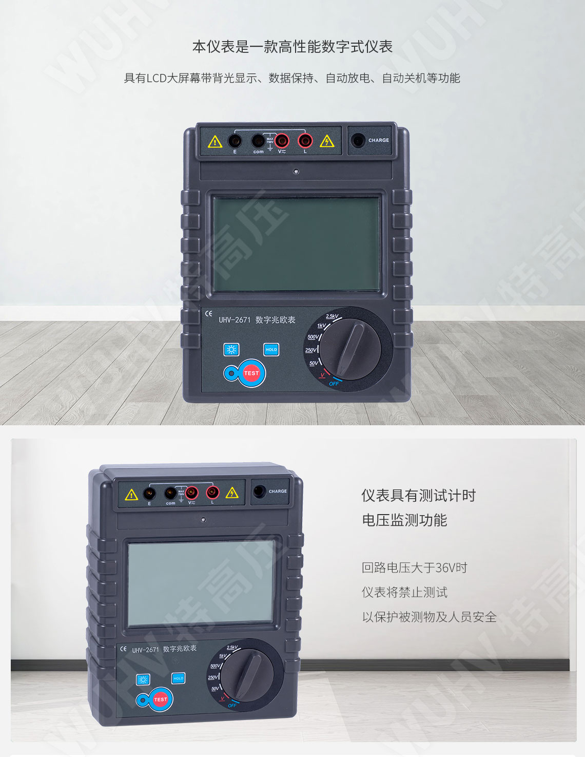 HT2671 數(shù)字兆歐表(2500V)(圖2)